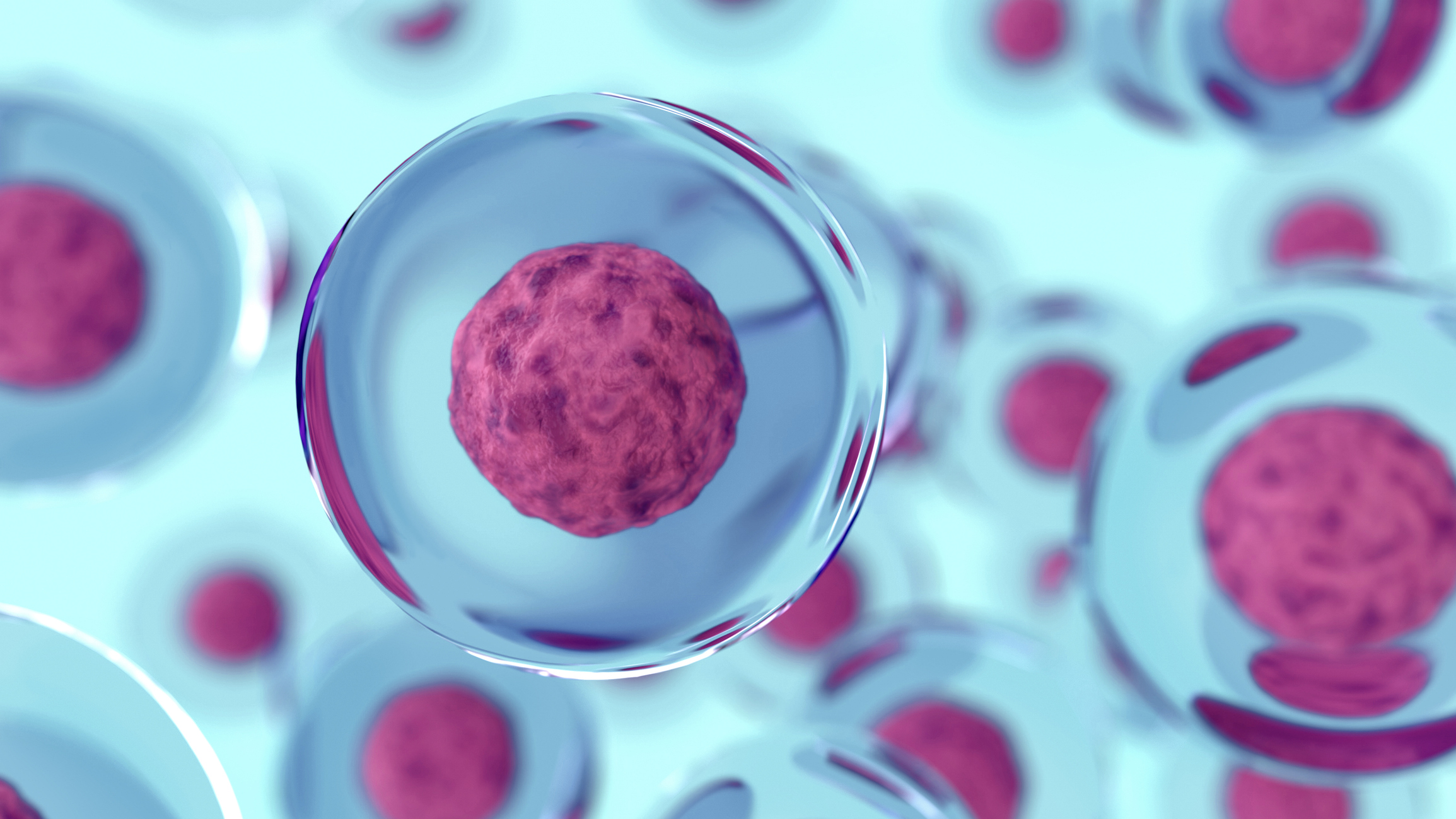 Le cellule umane possono diventare robot